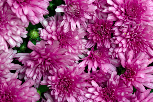 1667327 (a): :2560x1706